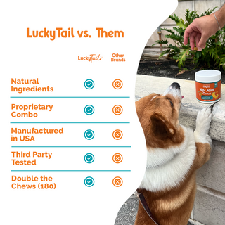 LuckyTail Hip & Joint Chews – Mobility Supplement for Dogs – Bacon Flavor – 180 count