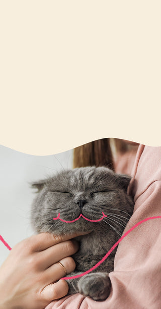 A grey cat being held by its owner with a pink smile doodle
