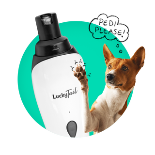 Close up of a LuckyTail Pet Nail Grinder with a dog