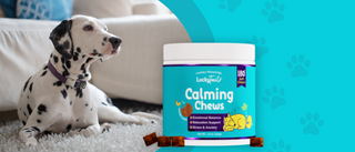 How Do Calming Treats Work for Dogs and What's in Them?