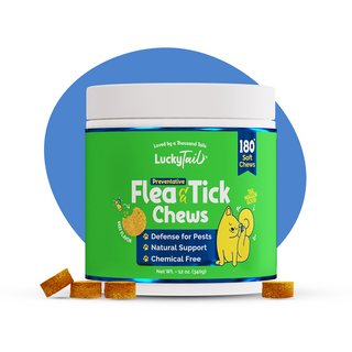 Natural Flea + Tick Defense Chews