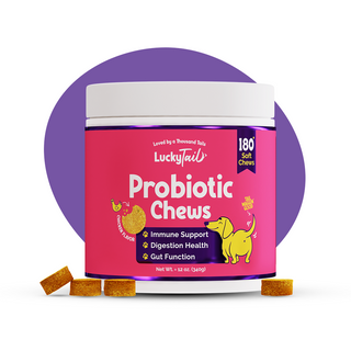 LuckyTail Probiotic Chews – Digestive Supplement for Dogs – Chicken Flavor – 180 Count