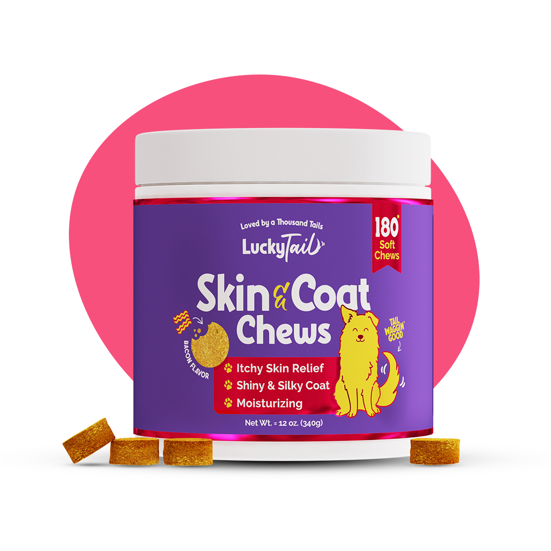 Head to tail skin online and coat