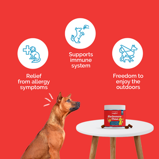 Tail-Waggin' Wellness Pack - Natural Dog Supplements
