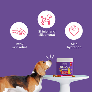 Ultimate Pet Care Bundle - Pet Nail Grinder - Dog Calming Chews - Skin and Coat Supplement - Allergy and Immunity Chews - 180 Count