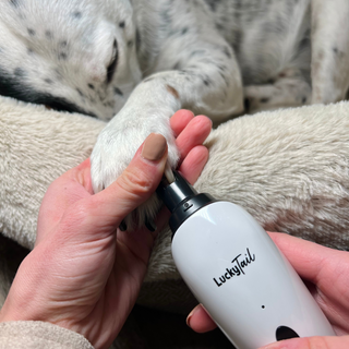 A Dalmatian having its nailed groomed with a LuckyTail Nail Grinder
