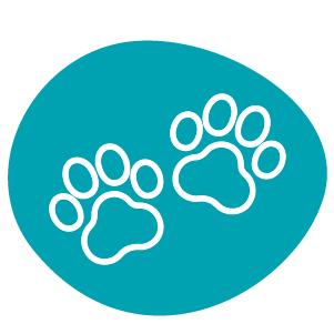 A blue and white icon with a pair of pet paws