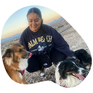 A pet owner with her two Border Collies out on a walk