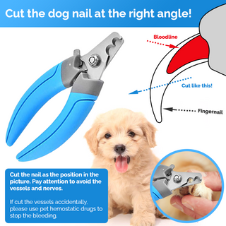 how to cut dog nail at the right angle using pet nail clippers